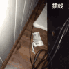 猫咪 爪子 宠物 伸手