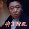 相声大电影之我要幸福 于谦 神马情况 蒙圈 soogif soogif出品