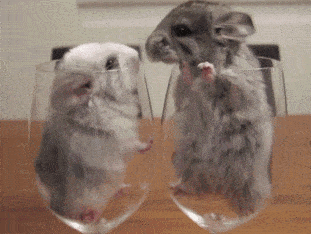 可爱 老鼠 亲亲 杯子
