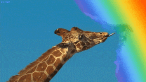 长颈鹿 彩虹  吃 搞笑