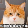 萌宠 喵星人 伤害我你就痛快了吗 难受 委屈 呆萌