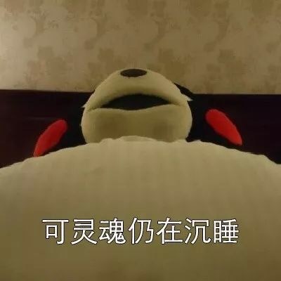 起床 熊本熊 暴漫 灵魂 沉睡