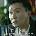 人民的名义 李达康 达康书记 吴刚 你这么屌不如书记给你当 斗图