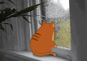 胖人的生活 日常 猫 卡通 动漫 二次元 下雨天
