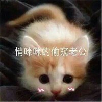 猫咪 大眼睛 萌宠 悄咪咪的 偷窥老公