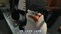 企鹅 让我想想 让他闭嘴 绑架 可爱 耳光