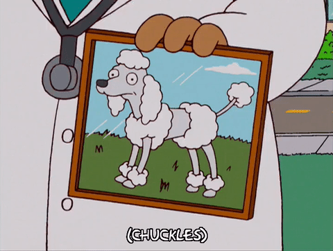 贵宾犬 poodle 动画 动漫