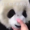 萌宠 熊猫 好了别说了 闭嘴 呆萌 可爱