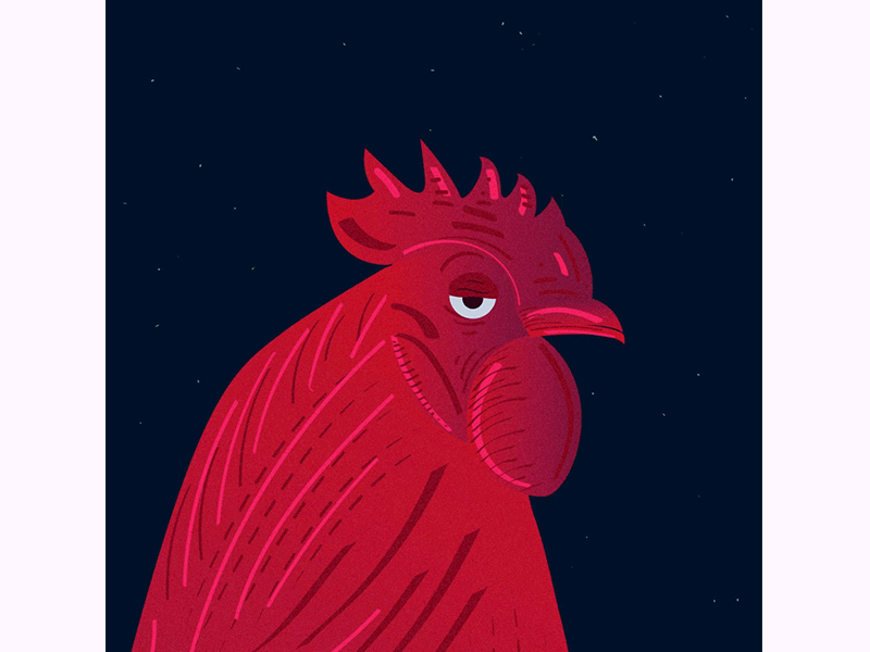 公鸡 红色 月光 打鸣