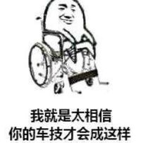 熊猫头 文字表情包 我就是太相信你的车技才会这样 搞笑 沙雕 搞怪