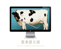 奶牛 搞笑 喝奶 动物