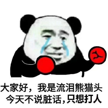 金管长 熊猫头 流眼泪 大家好我是 流泪熊猫头 今天不说脏话 只想打人