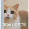 萌宠 猫星人 我就是个受气包 无奈 搞怪 逗