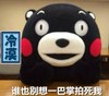 熊本熊 红脸蛋 黑色 谁也别想一巴掌拍死我