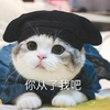 萌宠 猫星人 你从了我吧 认了吧 搞怪 呆萌
