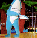 鲨鱼 跳舞 娱乐 可爱