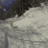 雪 狗 可爱 萌宠 汪星人