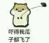 萌萌哒 可爱 黑眼睛 吓得我爪子都飞了