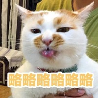 猫 喵星人 略略略