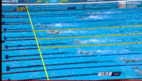 游泳 竞赛 奥运会 水上运动 swimming sports