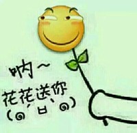 呐花花送你 笑脸 拿着 花叶