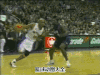 NBA 篮球 比赛 酷