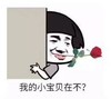 暴漫 文字表情包 我的小宝贝在不 搞笑 逗 沙雕