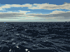 珊瑚 海洋 海浪  大海