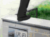 飞动 攀爬 窗户 飘动