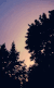 星星 stars nature