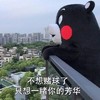 世界杯 土味情话 熊本熊