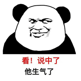 生气 熊猫头