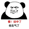生气 熊猫头 搞怪 逗