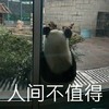萌宠 大熊猫 人间不值得 难受 呆萌 可爱