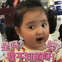 是吗 噢？ 我不知道啊 小刚几 soogif soogif出品