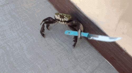 螃蟹 成精的螃蟹 夹着刀 横行霸道