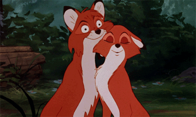 我是一只小狐狸我住在森林里 狐狸 恩爱 亲密