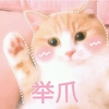 萌宠 喵星人 举手 举起爪子 可爱 活泼