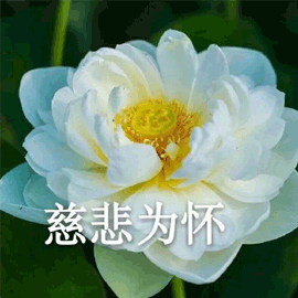 慈悲為懷 搞怪