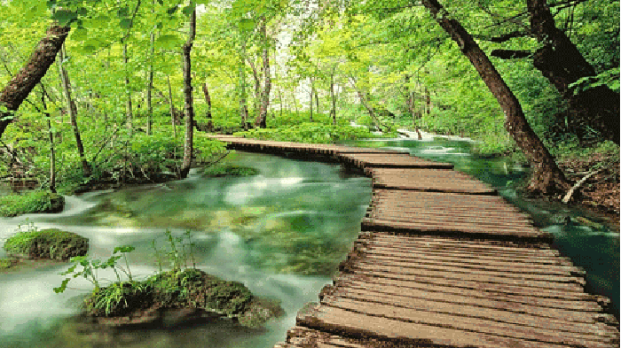 风景 流水 树林 栈桥