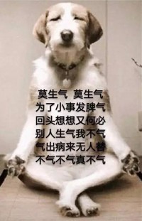 狗子 闭目 打坐 莫生气 搞笑 斗图