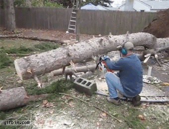 伐木 电锯 平衡 工人