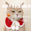萌宠 猫星人 谢谢大家的礼物 因为没有收到就不一一感谢了 圣诞节 呆萌 可爱