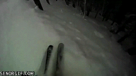 滑雪  镜头 雪林 酷 寒冷 户外运动 雪花 刺激 skiing