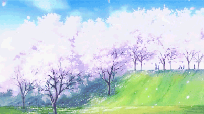 风景  花树 唯美  蓝天