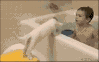 男孩 浴缸 洗澡 萌猫