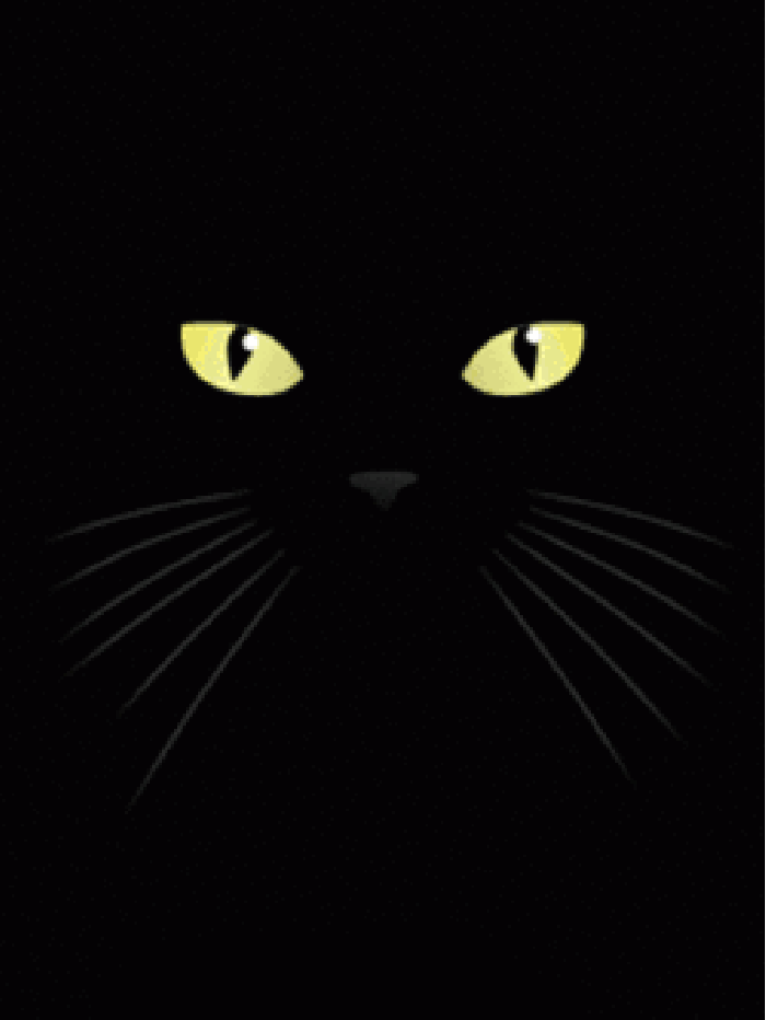 猫 黑暗 舔 可怕