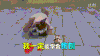 萌宠 小狗 搞笑 可爱