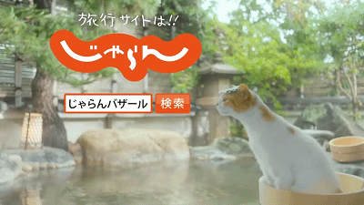 温泉猫 广告 日本 搜索