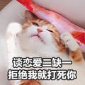 谈恋爱二缺一 猫咪 眯眼 爪子 躺着